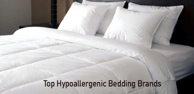 Hypoallergenic Bedding