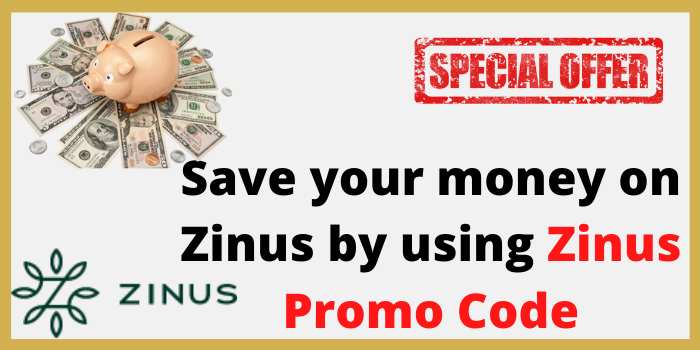 save your money on zinus