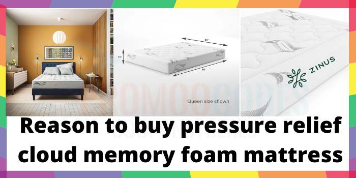 Reason to buy pressure relief cloud memory foam queen mattress