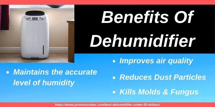 Advantages Of Dehumidifiers