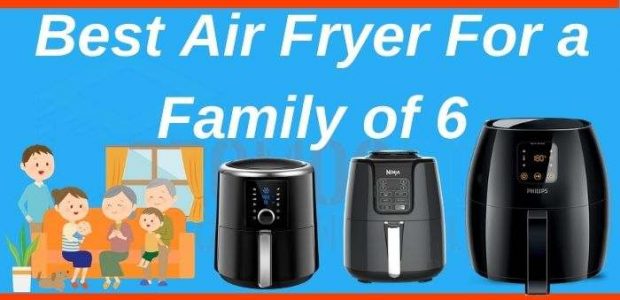 Best Air Fryer For a Family of 6
