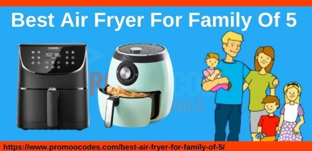 Best Air Fryer For Family Of 5