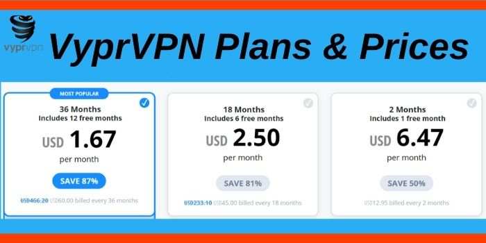 VyprVPN Plans and Prices