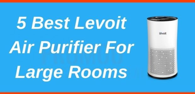 Best Levoit Air Purifiers For Large Rooms